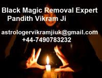Pandith Vikram ji - Famous Indian Vedic Astrologer image 9